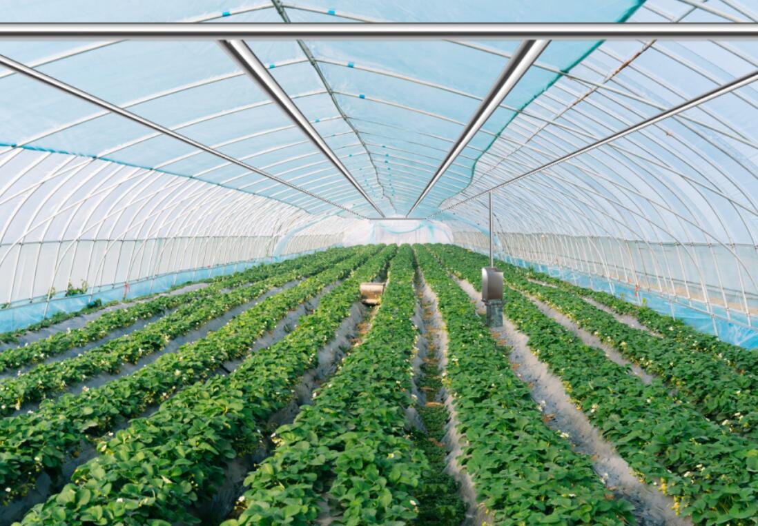 溫室大棚中使用臭氧發(fā)生器需要注意哪些問(wèn)題(圖1)